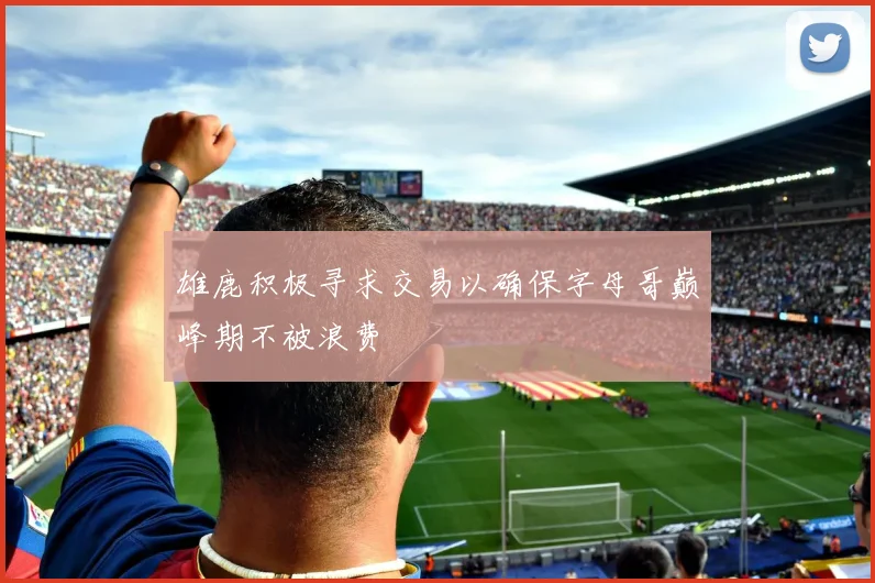雄鹿积极寻求交易以确保字母哥巅峰期不被浪费