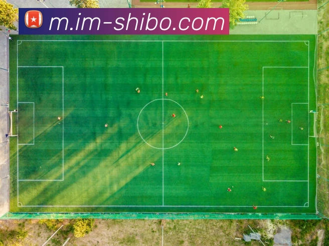 世博体育平台生态图
